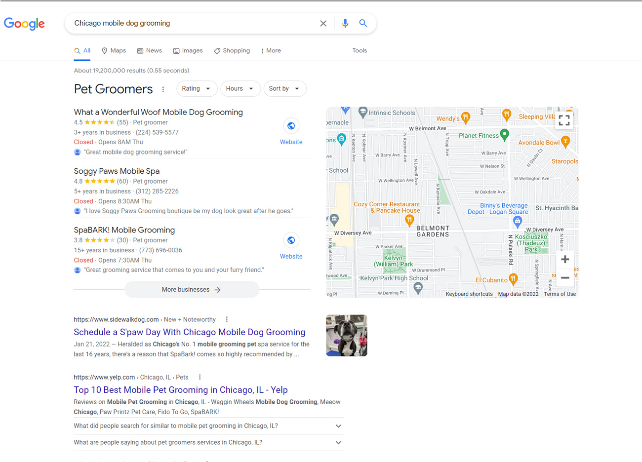 Google top SERPs search result for Chicago mobile dog grooming.